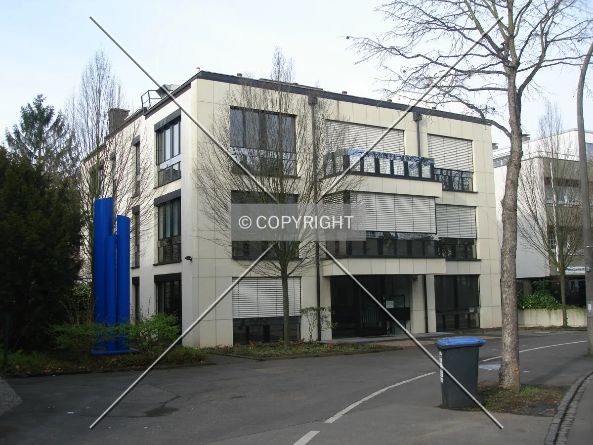 Photo 495-393-585