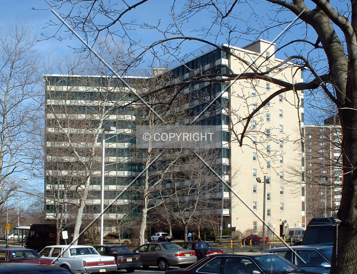 View from the northwest