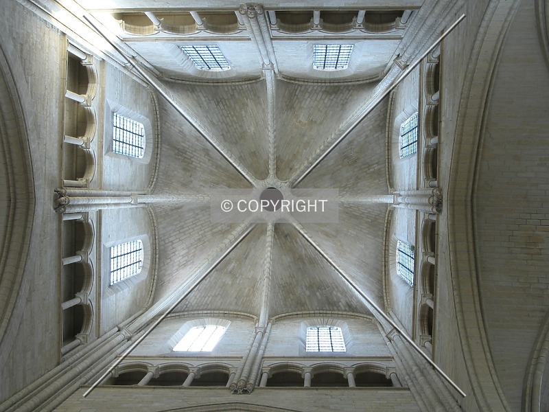 Photo 495-772-187