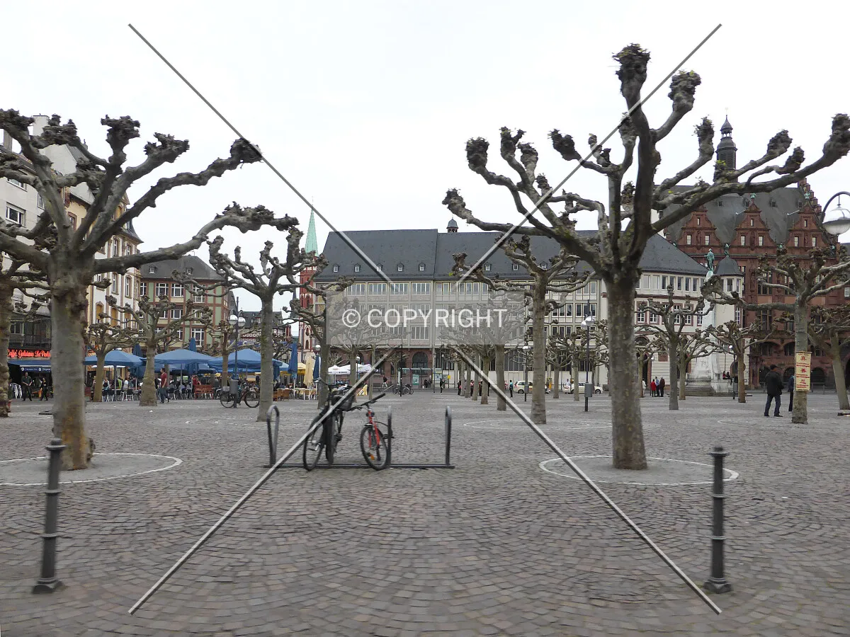 Photo 495-942-464