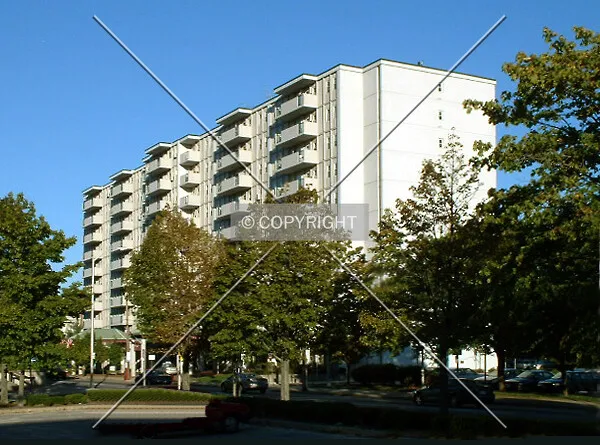 View from the west