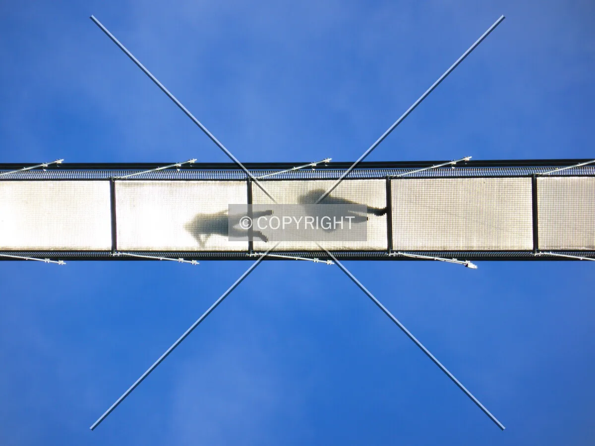 Photo 495-969-128