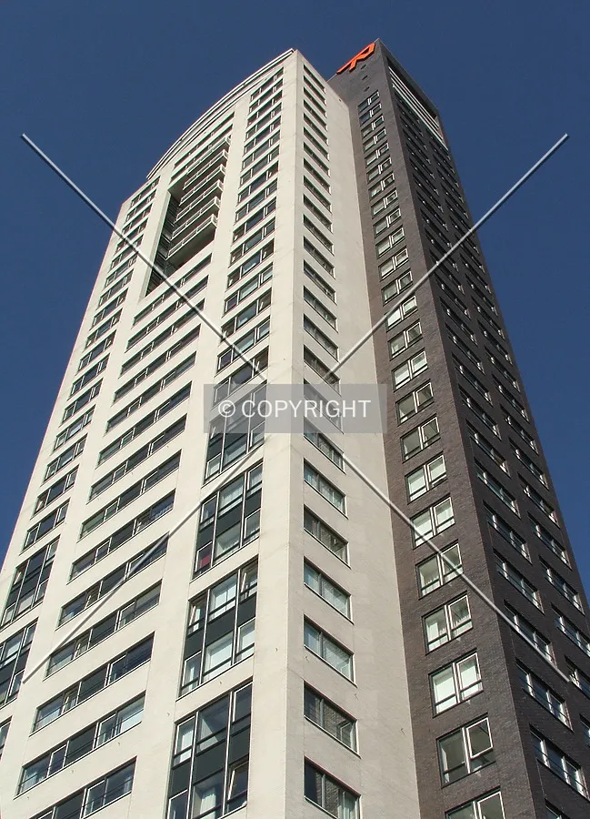 Looking up from Willemstraat