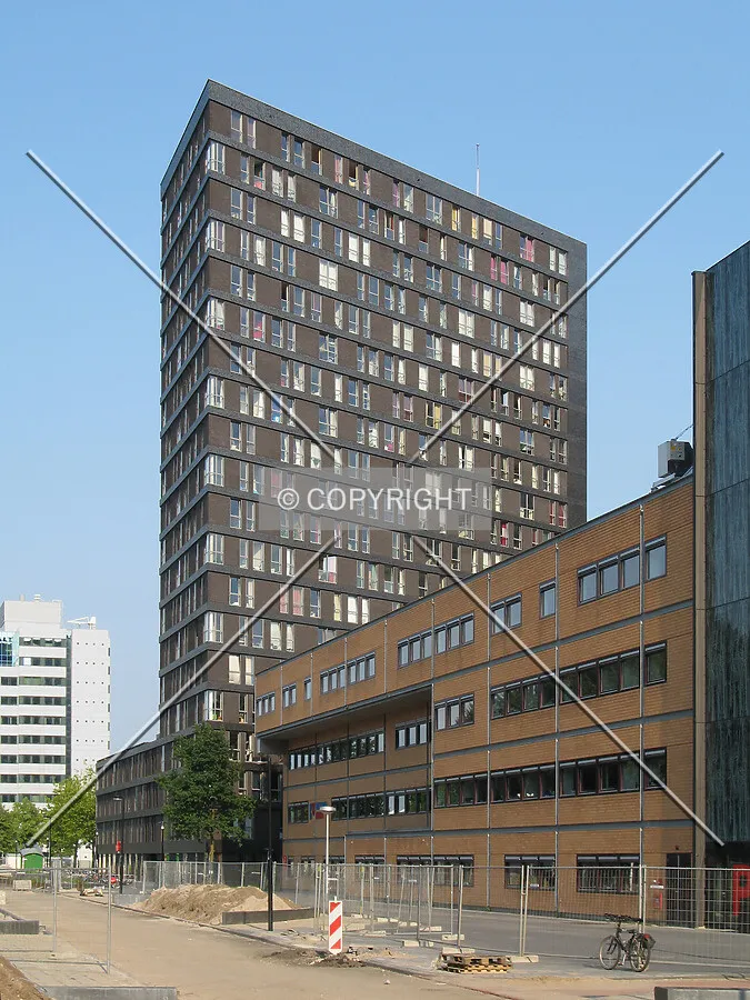 View from Heidelberglaan