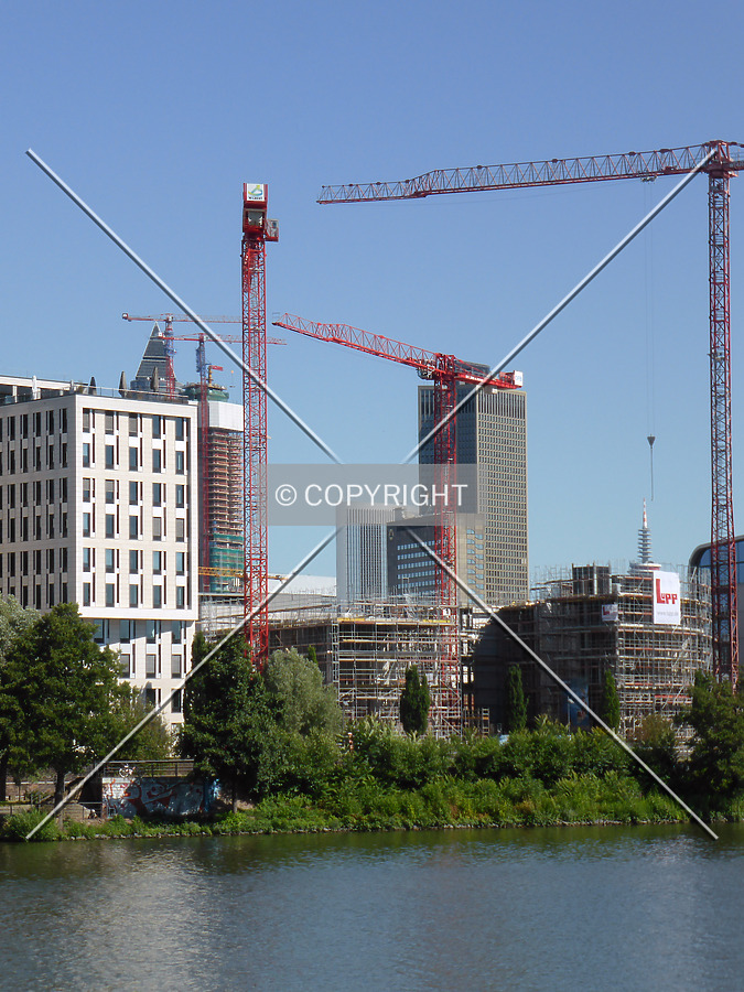 Photo 496-264-043
