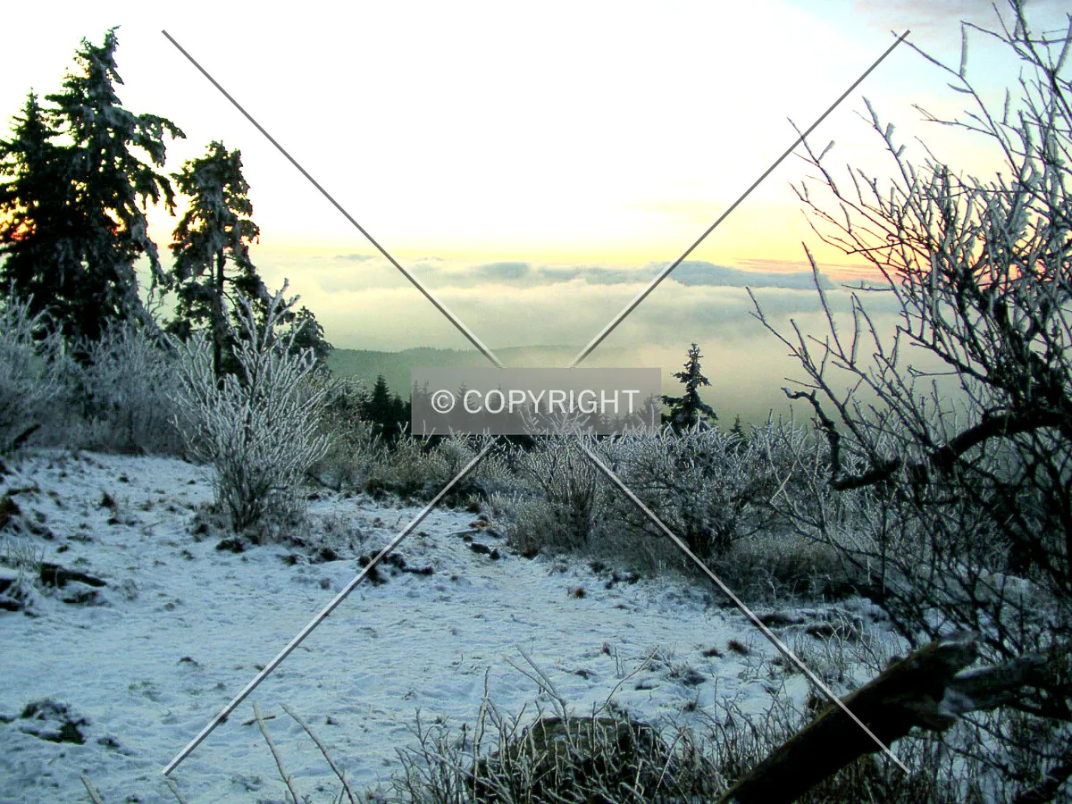 Over the clouds in winter