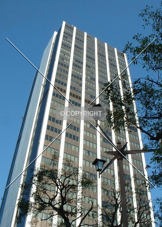 South face with tree and lamp