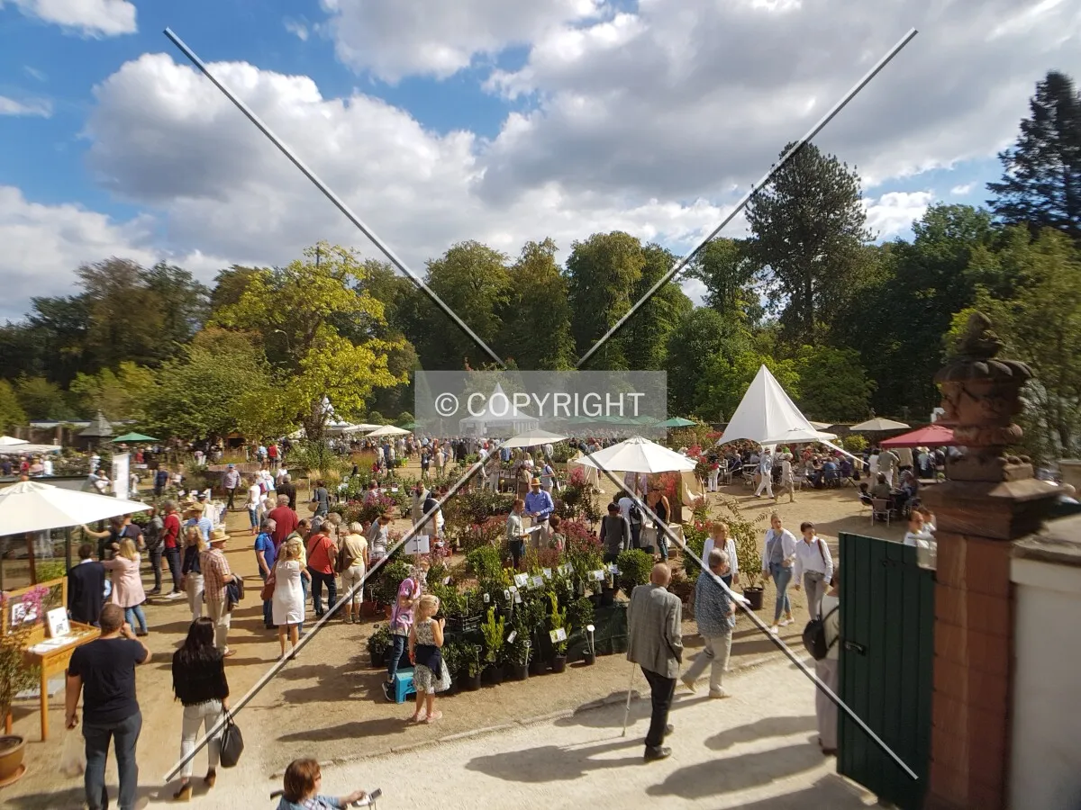 Schloß Wolfsgarten in 2018