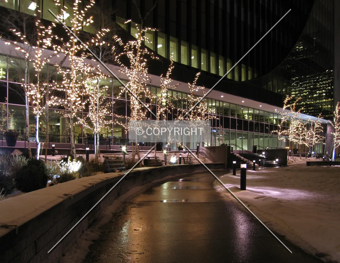 Walkway on a warm winter night