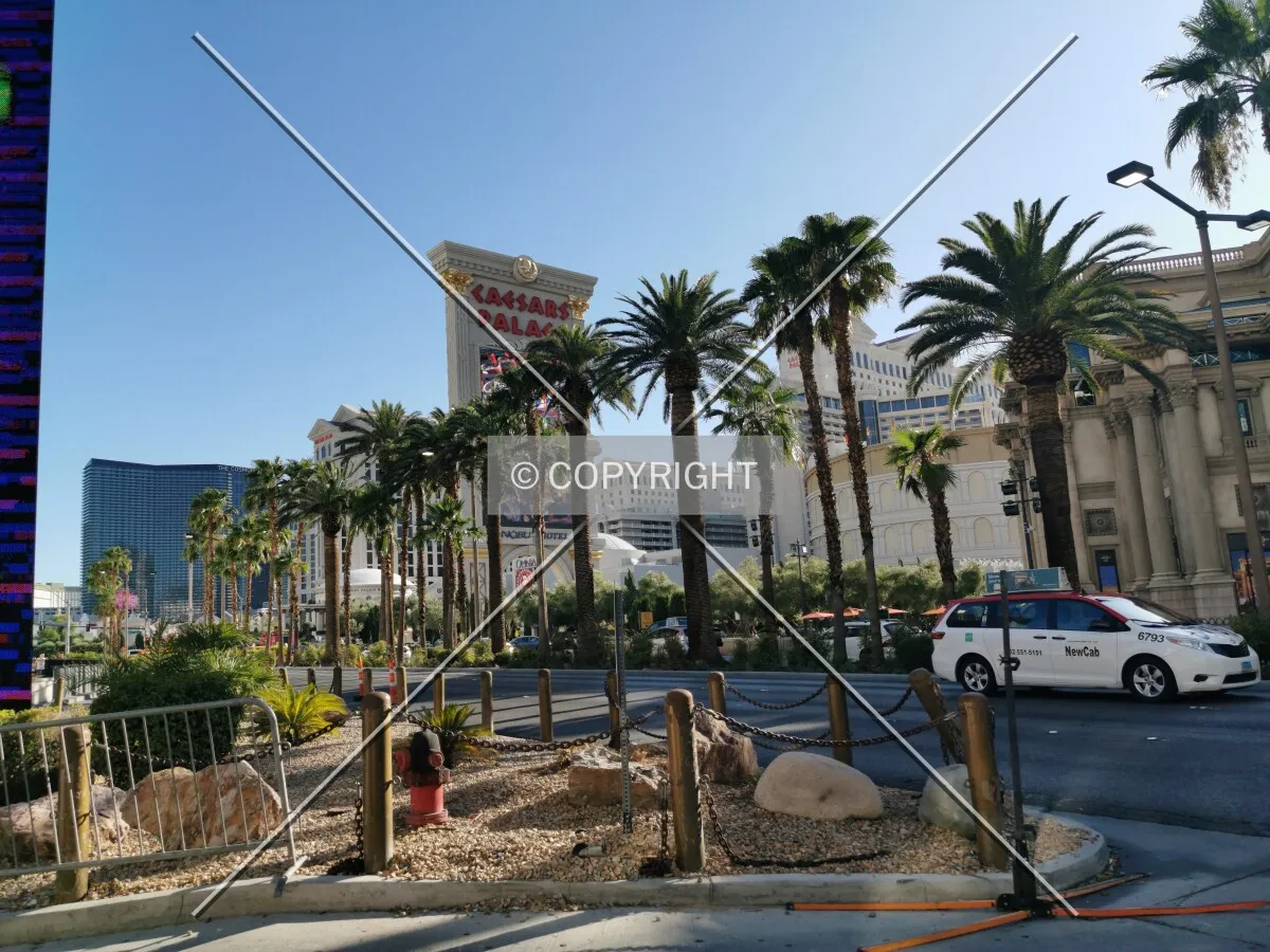 Photo 496-841-963