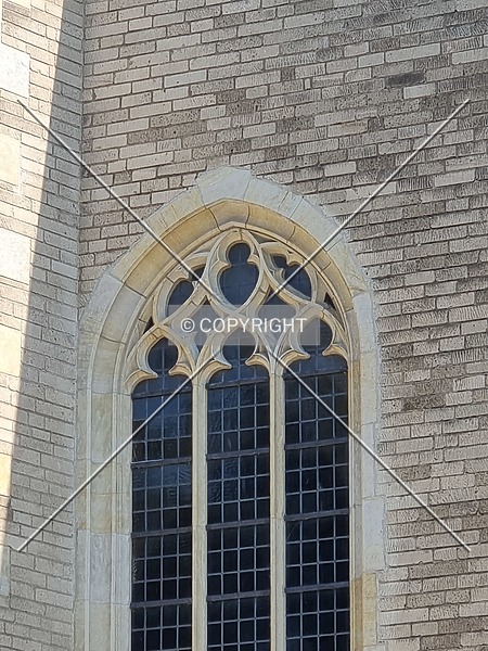 Photo 497-020-506