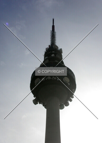 Photo 497-176-584