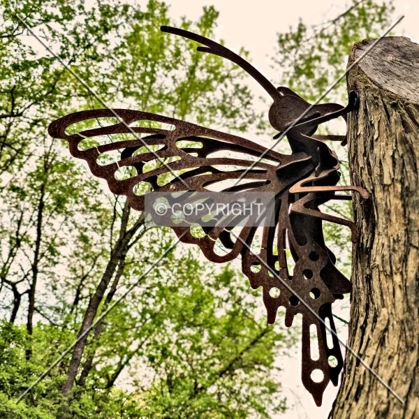 Photo 497-696-136