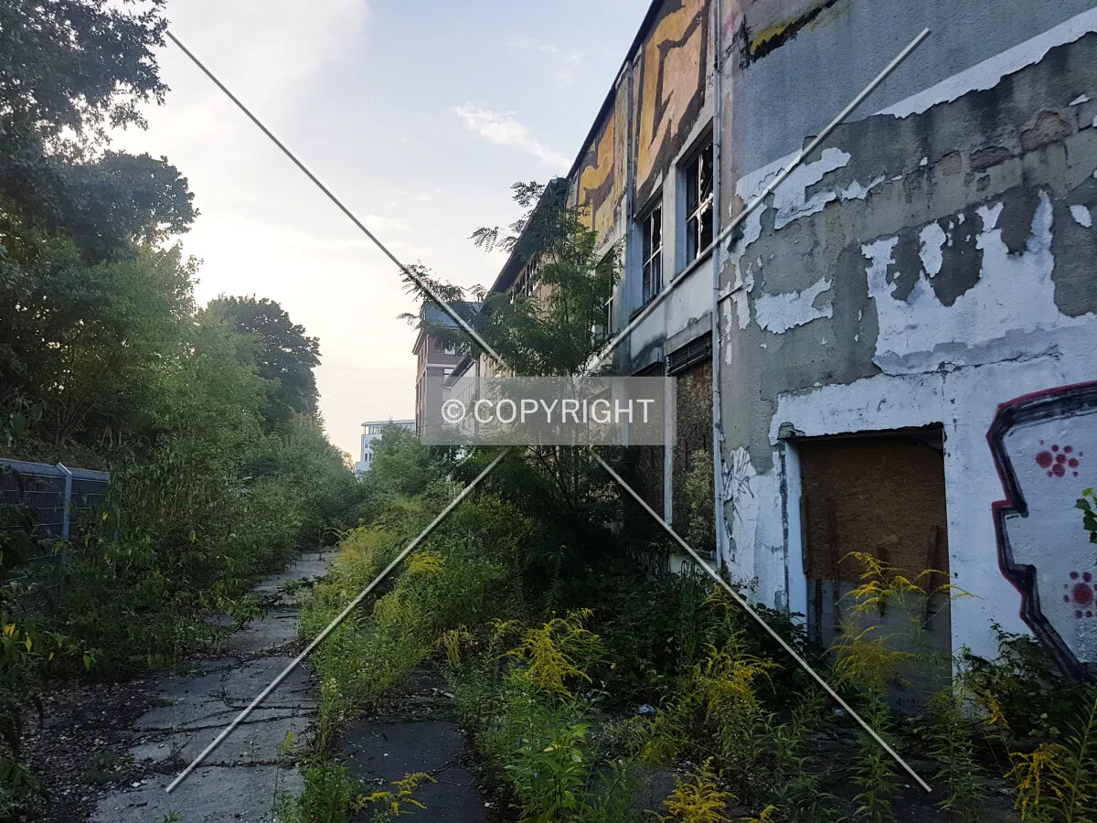 Photo 497-971-513
