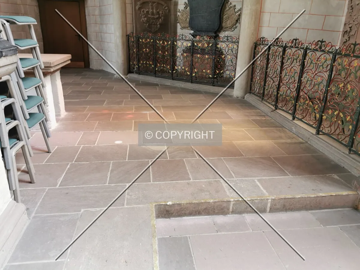 Photo 497-972-723