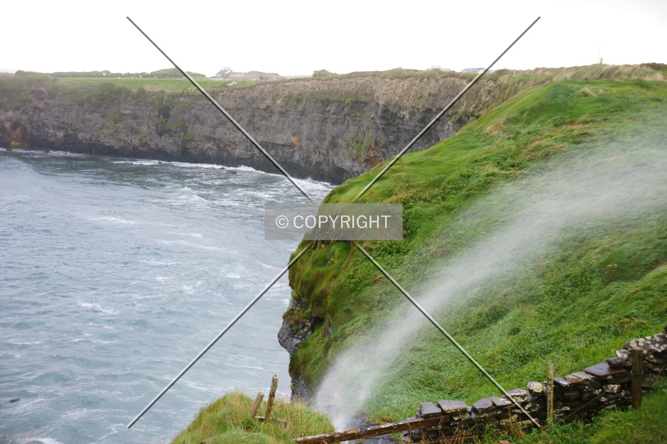 Photo 498-155-542