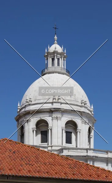 Photo 498-185-865