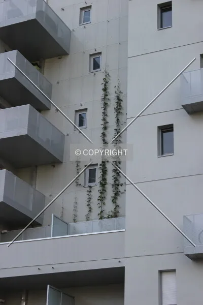 Photo 498-267-541