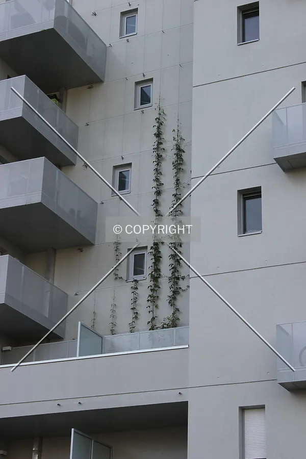 Photo 498-267-541