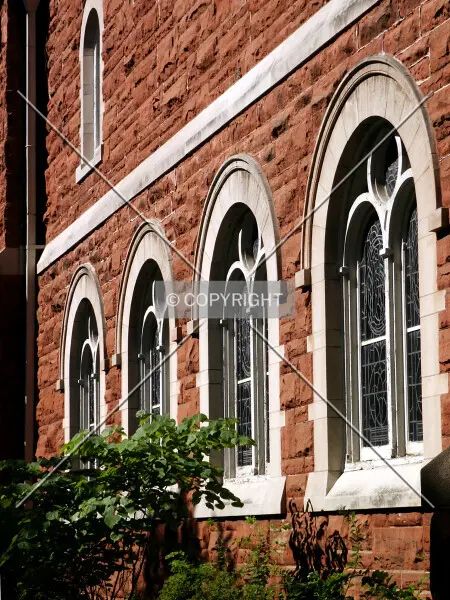 Photo 498-679-017