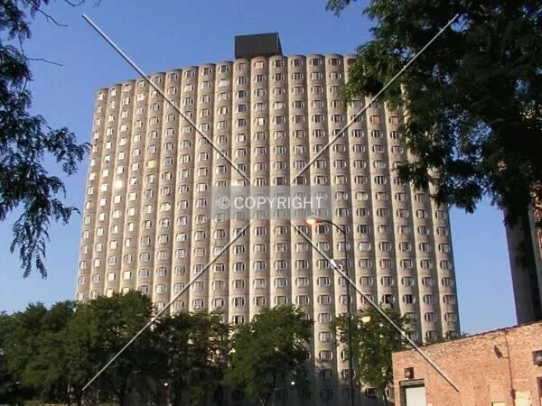 Photo 498-725-399