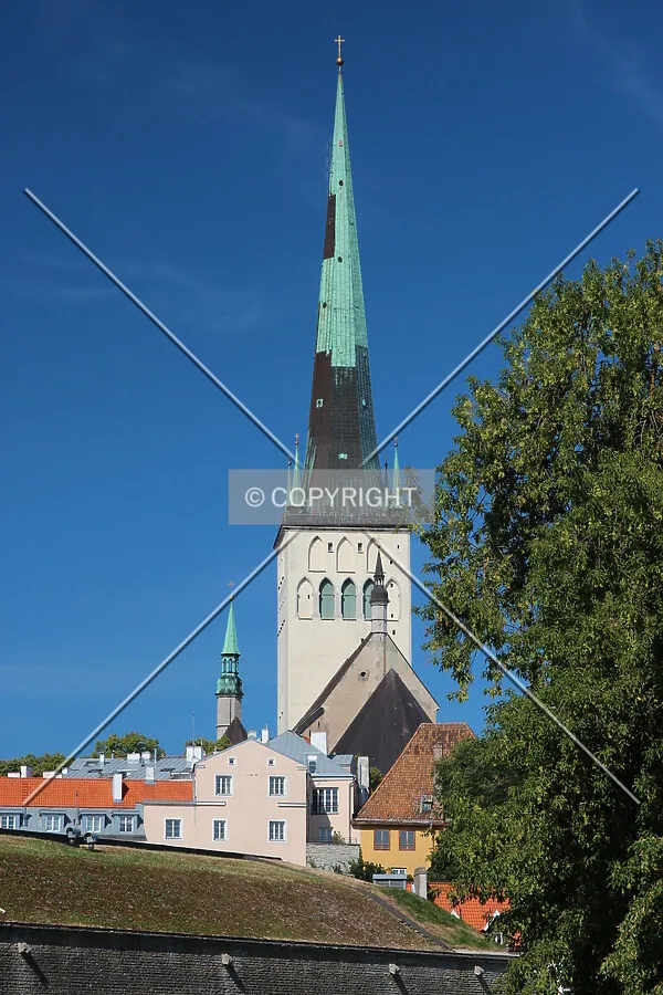 View from the east
