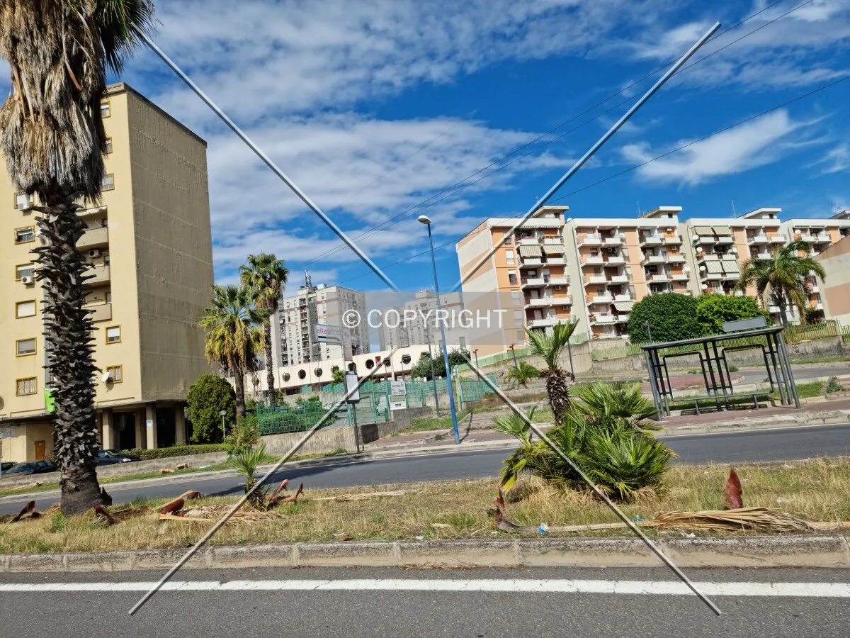 Photo 499-126-774