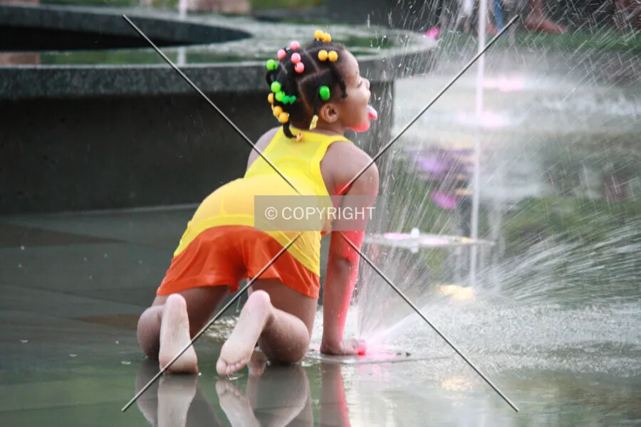 Photo 499-290-677