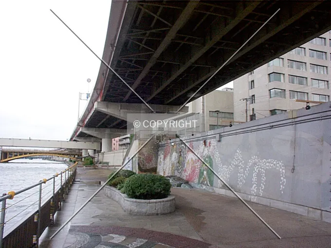 Photo 499-476-788
