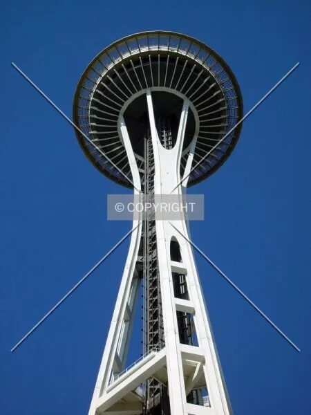 Photo 499-505-869