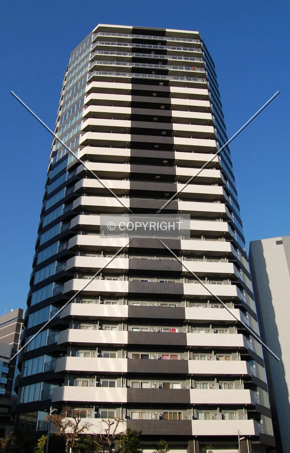 Looking up from the southwest