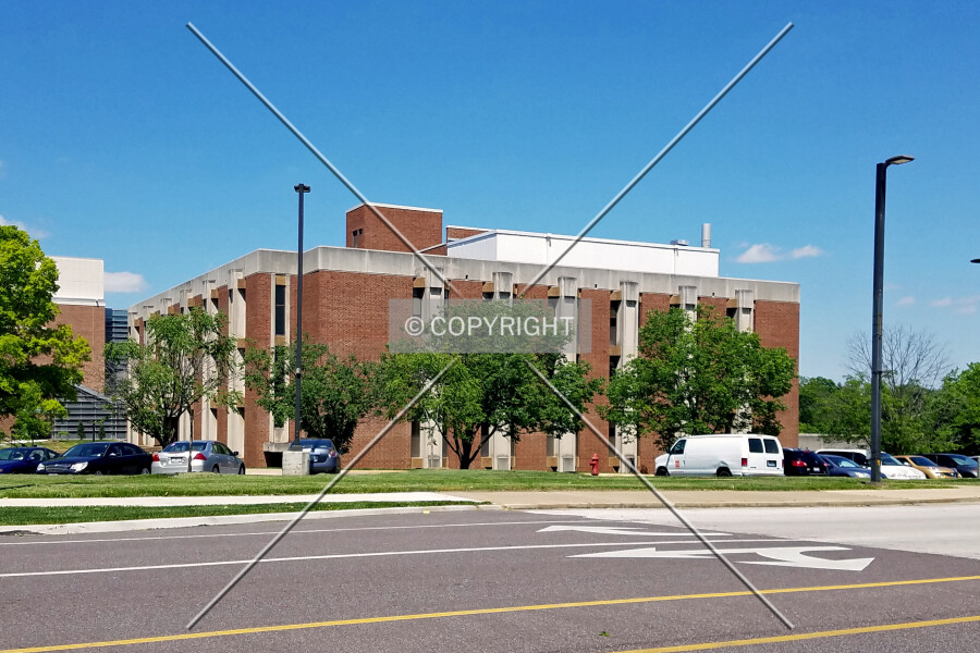 Stadler Hall
