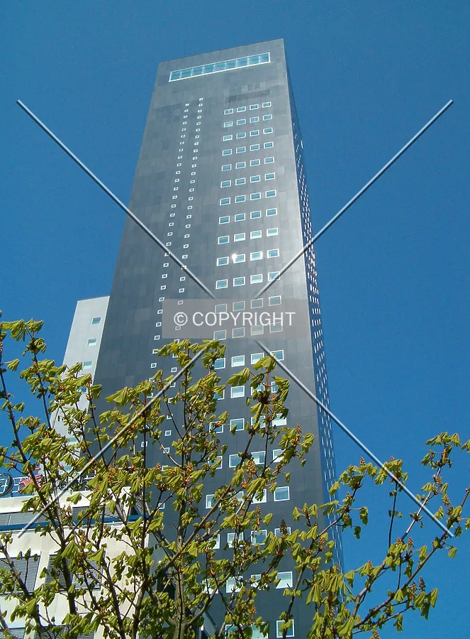 Looking up from Sophialaan