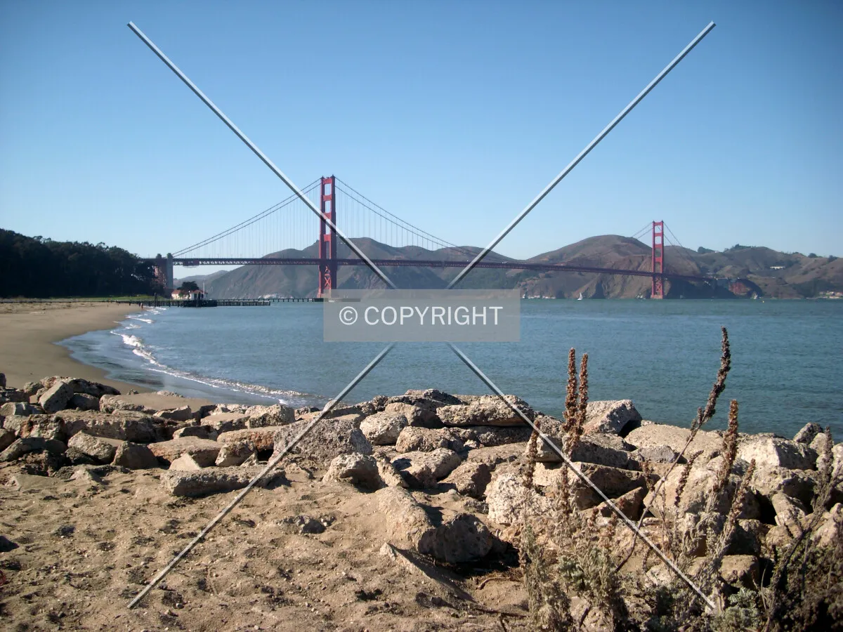 Photo 501-163-336