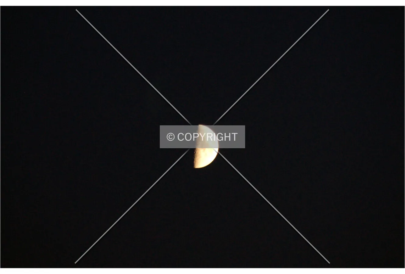 The moon