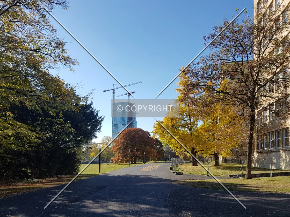On the Goethe University Campus