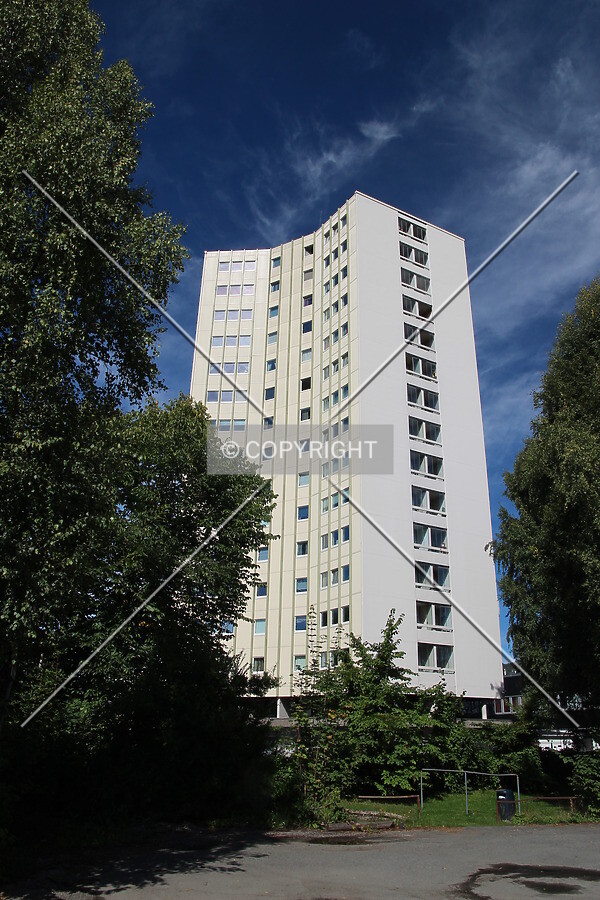 View from the east