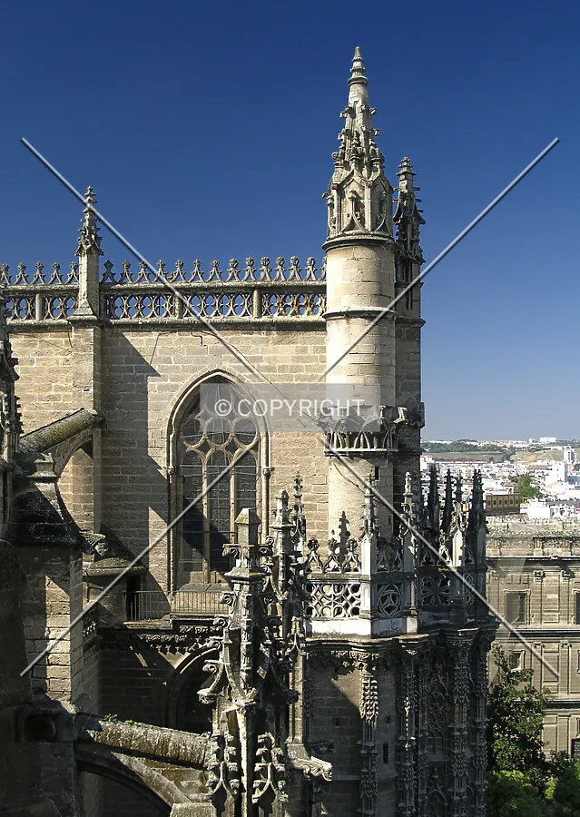 View from the tower toward the west