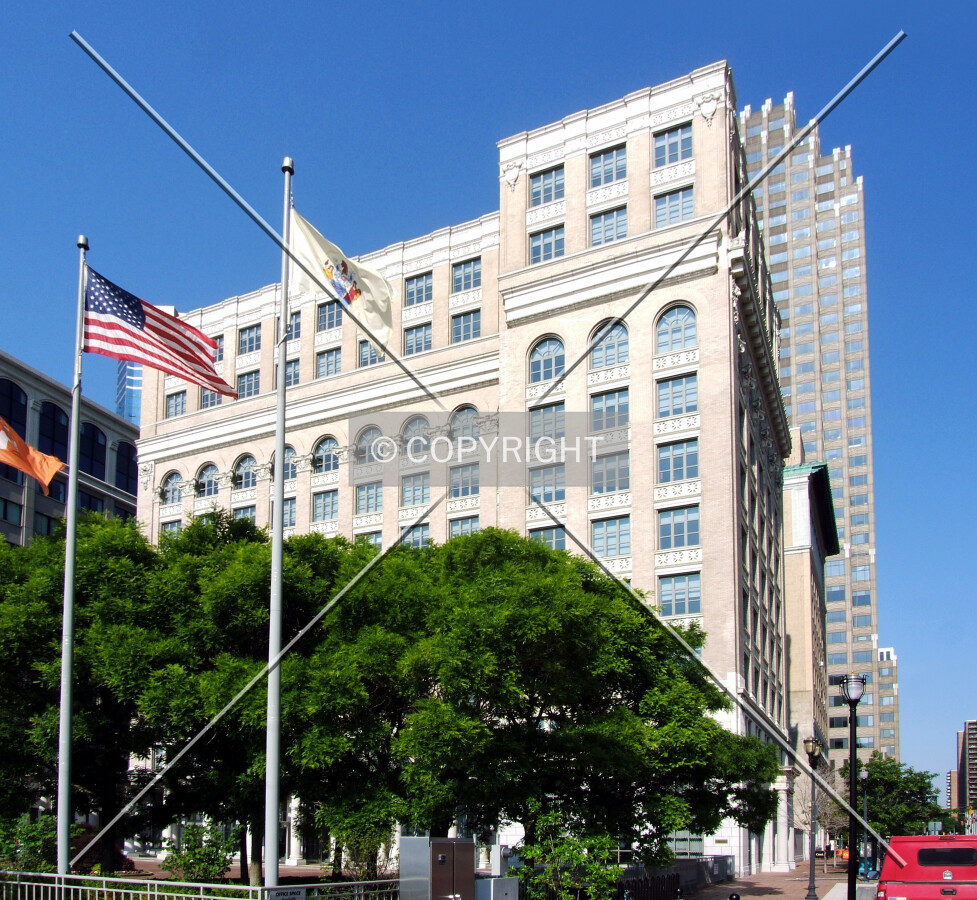View from the east