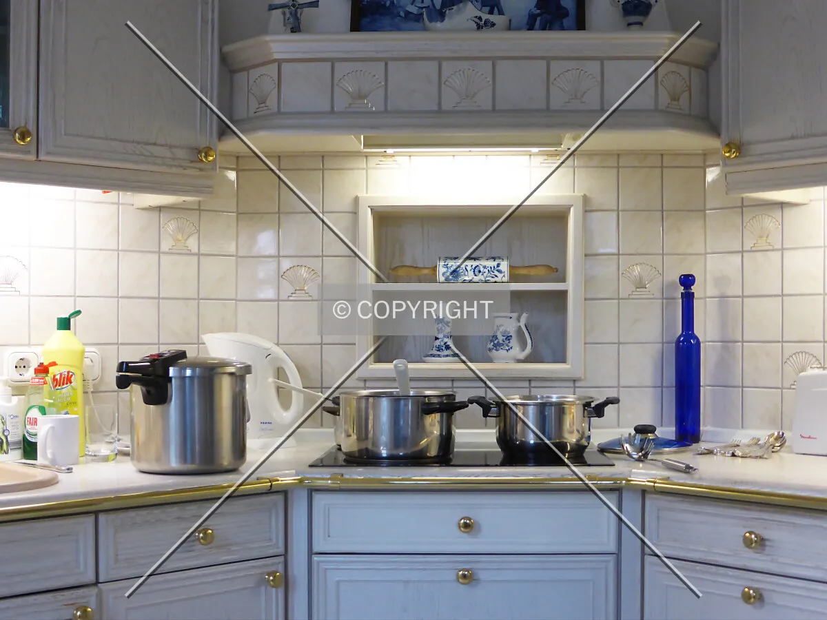 An exclusive kitchen in a German house
