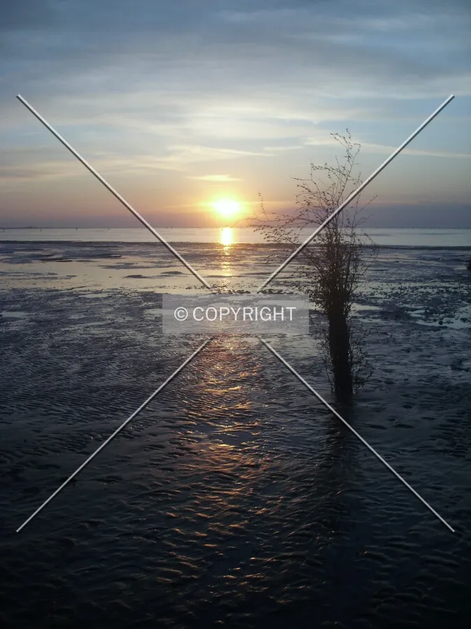 North Sea impression sunset