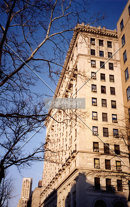 View from south along Hicks Street