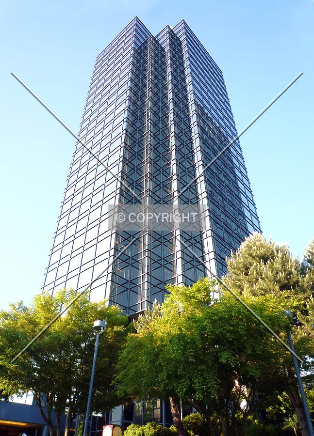 Looking up from the plaza