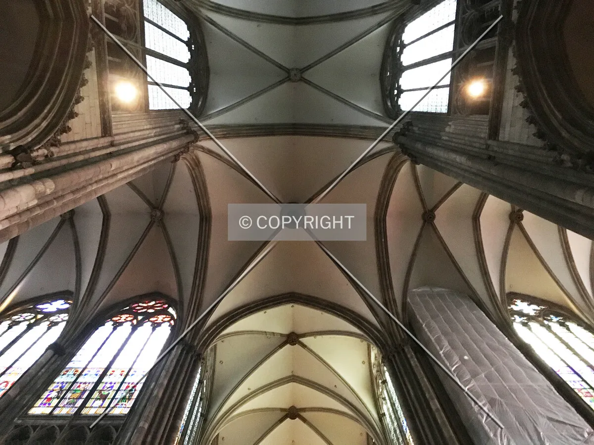Photo 503-285-725