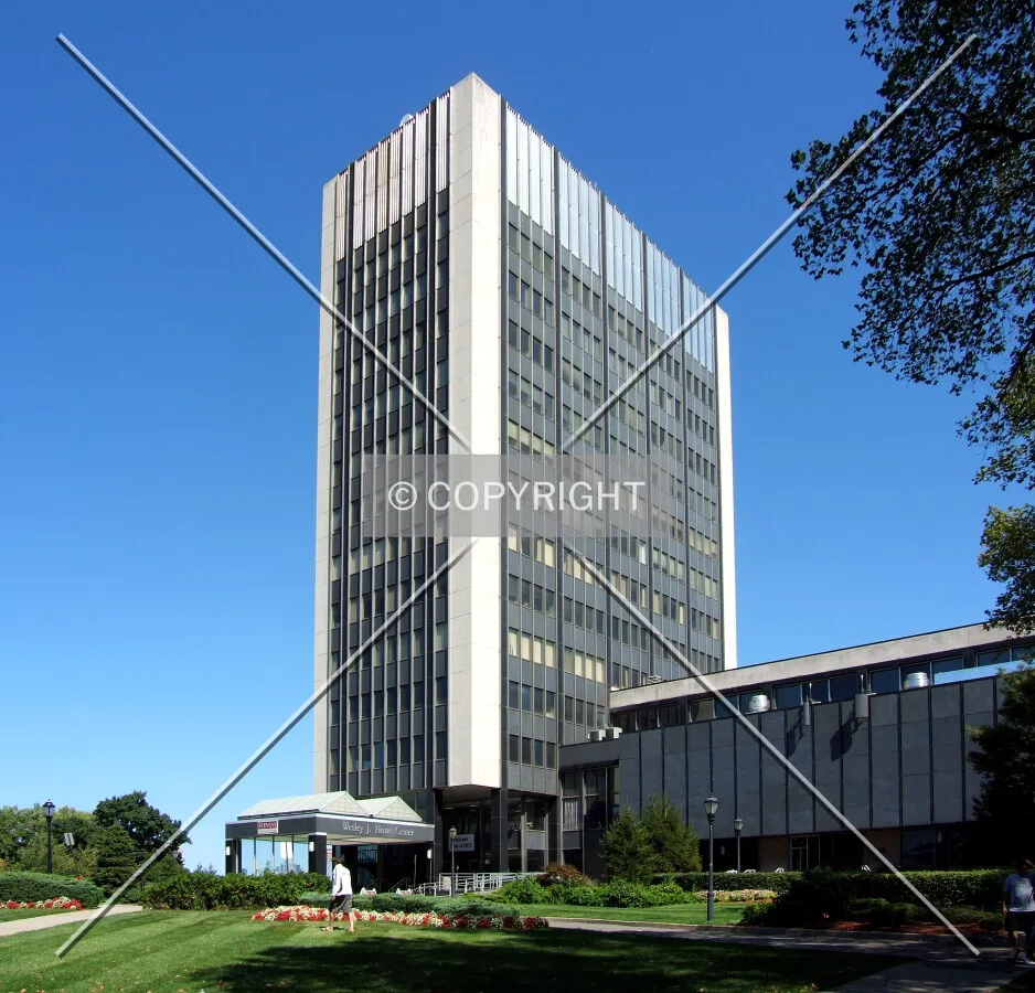 View from the southwest