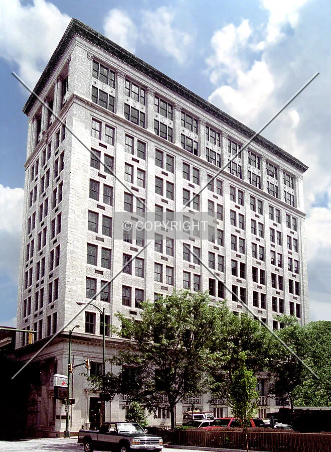 View from the north