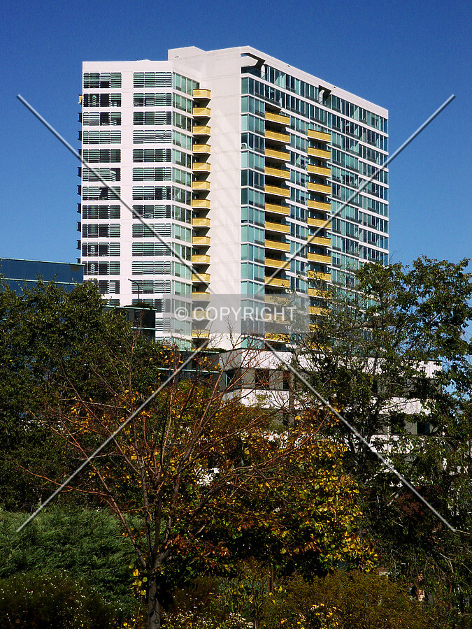 View from the corner of Davis and Oak