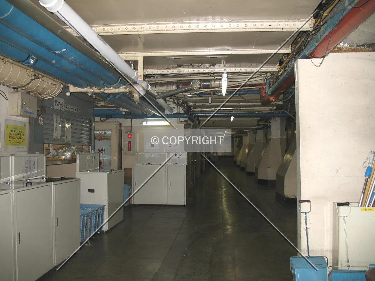 The services basement