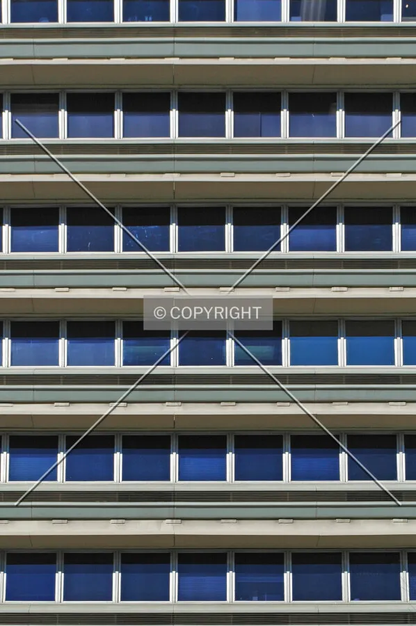 Window detail