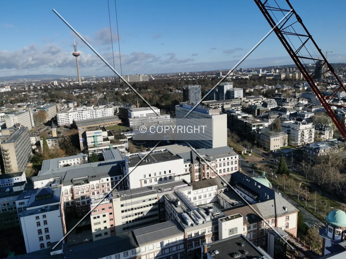 As seen from Senckenberg Turm